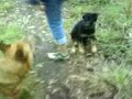 First Meeting