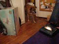 Mathilde helps with vacuuming
