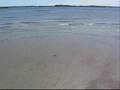 videos de My day at Orchard Beach
