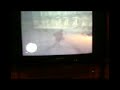 Truco Gta 4 :Dinero