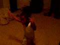 Trel Crankin dat Soulja Boy