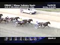 Wien Krieau, Karl B�rger Gedenkrennen 2008 - Power Sultan