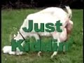 Goat-birth