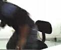 Reaccion a 2 girls 1 cup - alejandro
