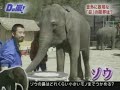 Arashi Go to the Zoo Pt2 Arashi Go to the Zoo Pt2