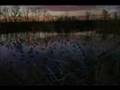 Part 1 Awesome 10,000 Acre Farm For Lease