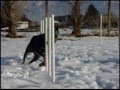 videos de Winter Weaves