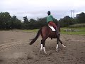 Fernhill Tick-Tack