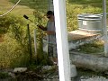 Yard Care Made EZ