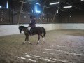 videos de Attempt at Western 3