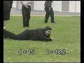 IVT Video Proof 2006