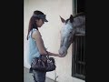 horse riding school