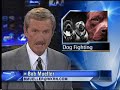 Dog Fighting Arrest in Tennessee