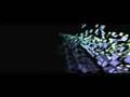 videos de Waldorff - Next3