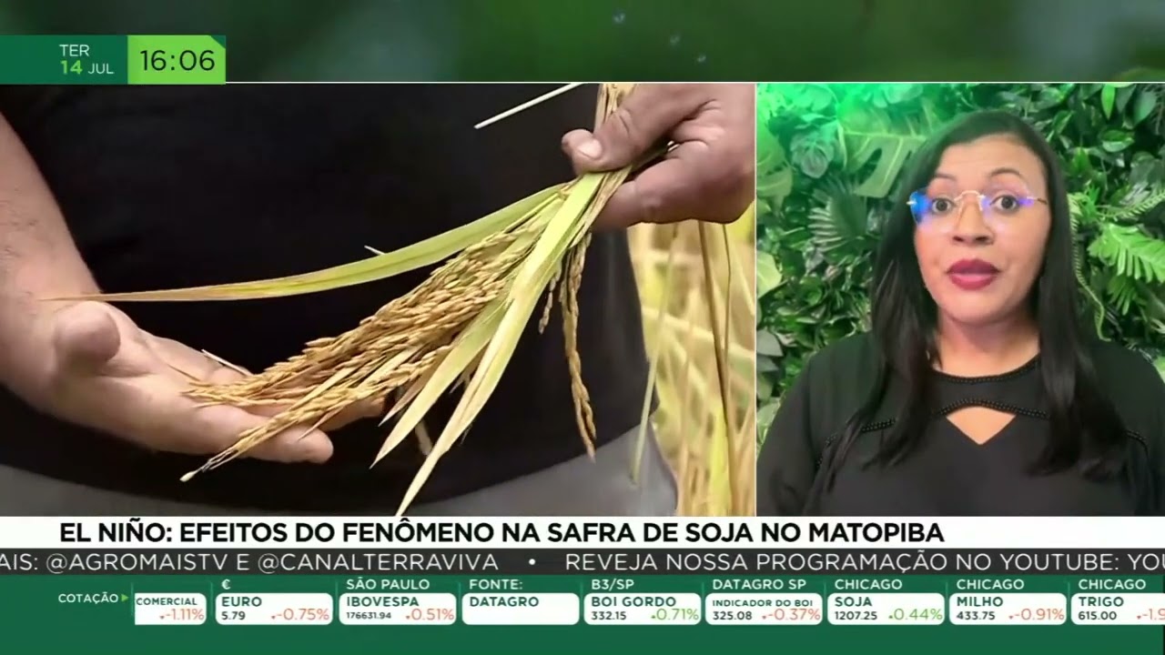 El Niño: efeitos do fenômeno na safra de soja no Matopiba