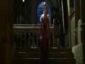 Broken Wings a Romione Shippers view of GOF!! (Ron/Hermione)