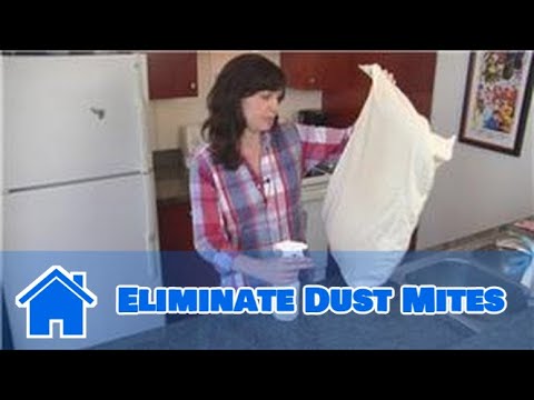 how to get rid dust mites home