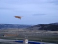 rc bush flying Hangar 9 1/4 scale cub turned super cub