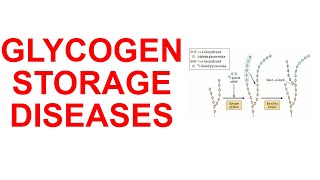 Glycogen Storage Diseases