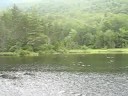 three ponds