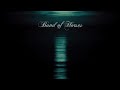 Bekijk muziek clip van Band of Horses met Islands on the Coast