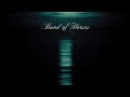 Islands On The Coast - Band Of Horses