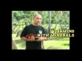 Baby Canillas - Spanichi Gamefarm San Pablo Laguna Part 1.avi