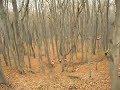 Enduro Krzeszowice nad Granością
