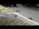 Jomar Lanot Memorial Pole - part 3 Jomar Lanot Memorial Pole - part 3