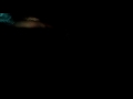 Laltu video 2017