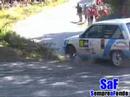 Rally Sur do Condado 2008