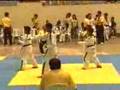 PALARONG PAMBANSA 2008