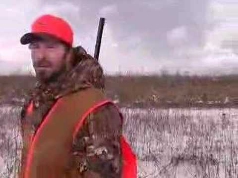Dave's Pheasant Bowkill on the wing
