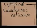 Cell Biology iii Cell Biology iii