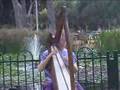 harp lady  Lightly Row