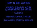 hasan akel lisesi hasan akel lisesi