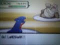 flashfox vs arceusmaster (Pokemon Diamond Pearl Wifi Battle)