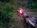 Pepsi Max Fire Pepsi Max Fire