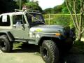 videos de TEJEDA TEAM 4X4 RD (EXTREME OFF ROAD) @RALLY FRONTERA 2009 P1 - JEEP WRANGLER SAHARA