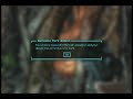 Fallout 3- Shot through the heart...