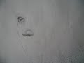 how to draw frodo step by step