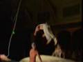 Acrobat
