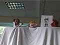 H5N1 Avian Flu Puppet Show