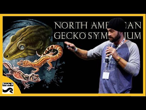 YouTube reptile video
