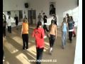 SDS no.16 || Workshop by Roots Company