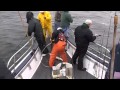 Striper fishing video/Fishermen Atlantic highlands, NJ 12/