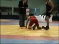 Campeonato Panamericano Junior 2008