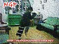 MoonBoy Compilation Made by NanuGama aka meUsed: Sony Vegas 7Rate,Comment,Suscribehttp://nextgengaming.22web.net/index.php