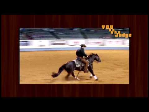 Inside Reining