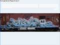 videos de Graffiti #6 - Freights and Panels.
